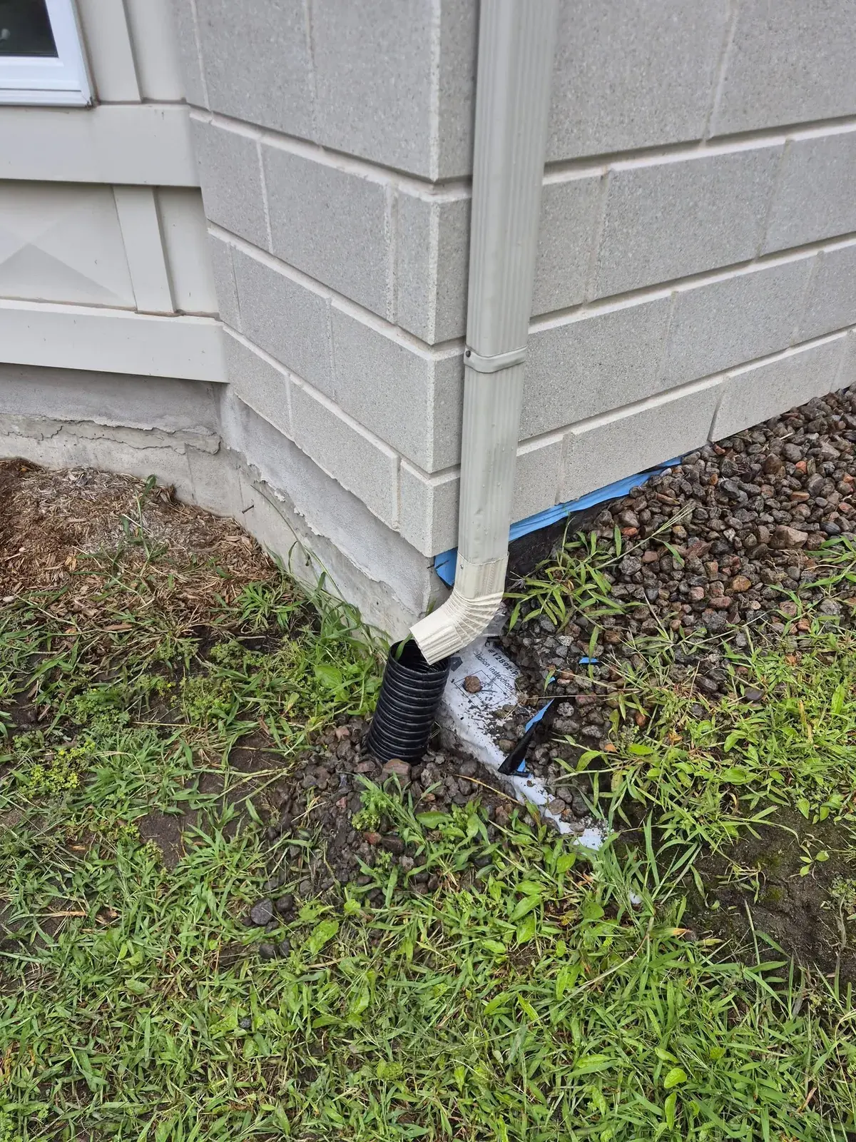 Sortie de la descente pluviale au pied du mur, avec un drain qui éloigne l'eau